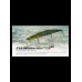 Duo TIDE MINNOW SLIM 175 SP - Suspending