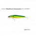 SHIMANO EXSENCE SHALLOW ASSASSIN 99F FLASH BOOST