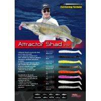 Artificiale  ATTRACTOR SHAD 3″ - Fish Action 