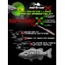 Artificiale ATTRACTOR SHAD EVO 5″ - Revenge X
