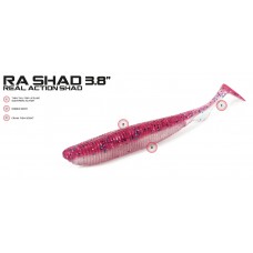 Molix RA Shad 3.8