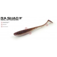 Molix RA Shad 3