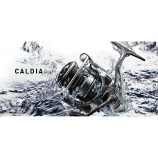 Mulinello Caldia LT   2500 D - 3000 DC - Daiwa - 