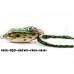 Artificiale Molix Hybrid Baits - FROG - Rana