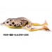 Artificiale Molix Hybrid Baits - FROG - Rana