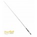 Canna Rapture Matthew s SS 651 M Spinning -OFFERTA-