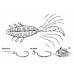 Artificiale SOFT BAITS CREATURE & CRAW- LEFTAIL 1.8 inch-