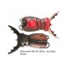 Artificiale Molix Hybrid Baits Supernato Beetle Baby