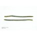 Artificiale Net Bait -  Slim Shake