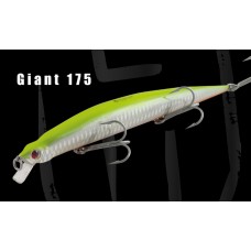 Giant 175
