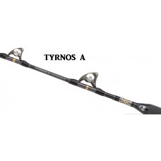 CANNA TRAINA SHIMANO TYRNOS STAND UP A 50lb ROLLER GUIDE