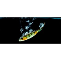 Artificiale Soft Bait Molix - Virago 4''